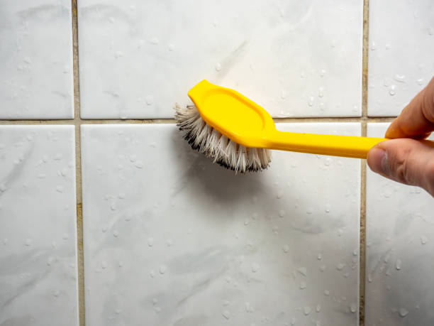 Best Kitchen Mold Remediation in Kootenai, ID