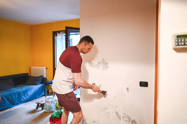 Best Mold Remediation for Schools in Kootenai, ID